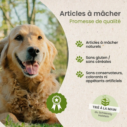 Pattes de cochon naturelles pour chien sans conservateurs Kauartikel.com GmbH