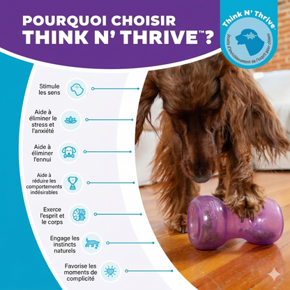 Outward Hound Double Snoop – Jouet interactif anti-ennui pour chien Outward Hound (Kyjen)