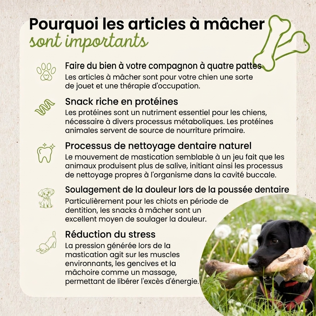 Os d'autruche XXL pour chien sans conservateurs Kauartikel.com GmbH