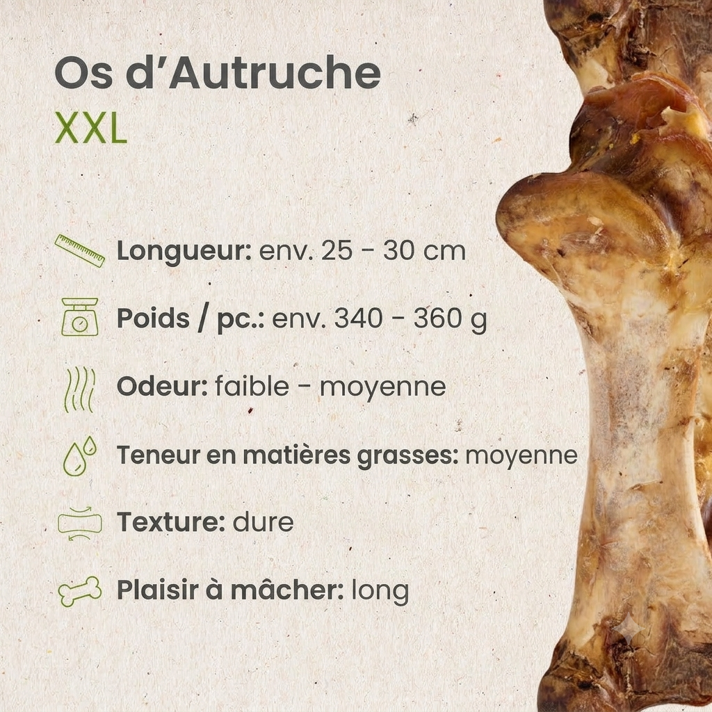 Os d'autruche XXL pour chien sans conservateurs Kauartikel.com GmbH