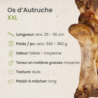 Os d'autruche XXL pour chien sans conservateurs Kauartikel.com GmbH