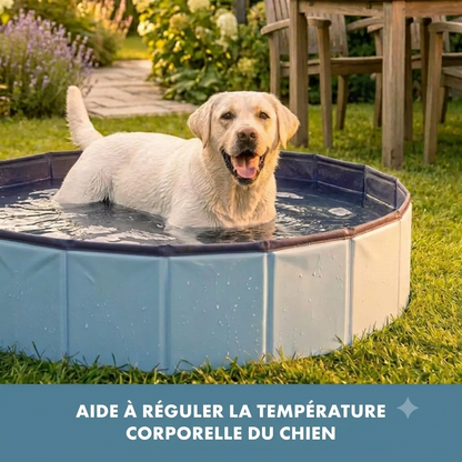Piscine pour chien – Coolpets Dog Pool Coolpets