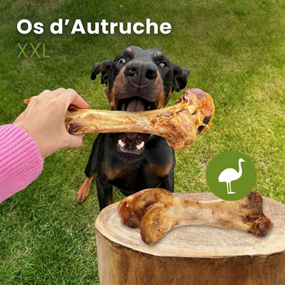 Os d'autruche XXL pour chien sans conservateurs Kauartikel.com GmbH
