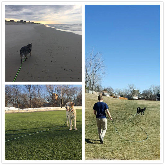 H7d65a03487f34e24a6d9ae167f4784dar