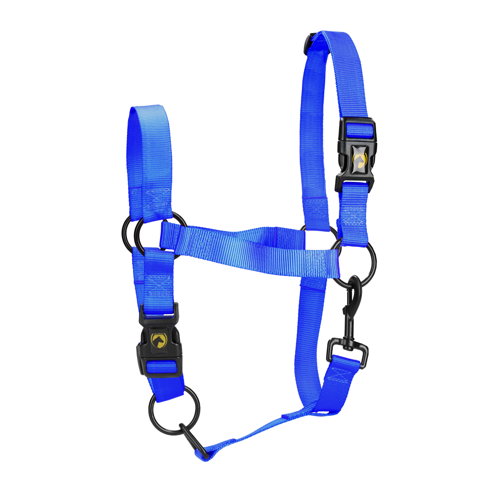 Licol Essential bleu S