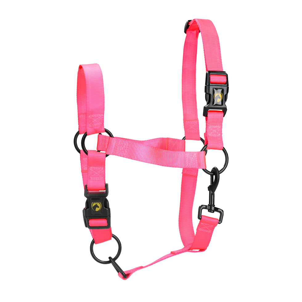 Licol Essential rose S