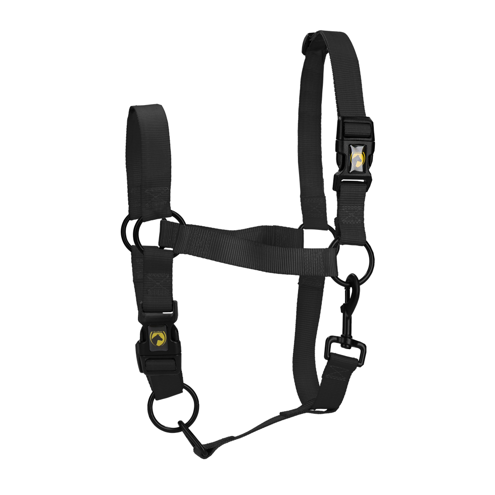 Licol Essential noir XL