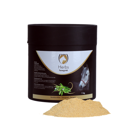 Fenugrec moulu 1 kg