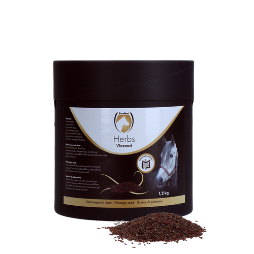 Excellent Horse – Herbes Psyllium (Plantago)