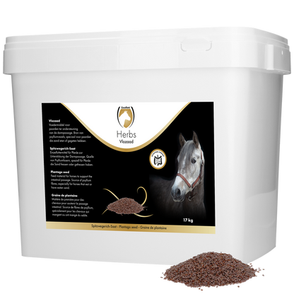 Psyllium 17 kg