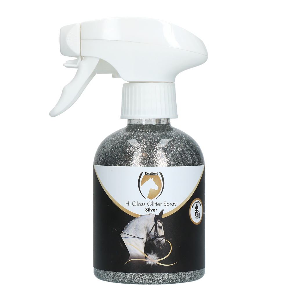 Spray pailleté Argent
