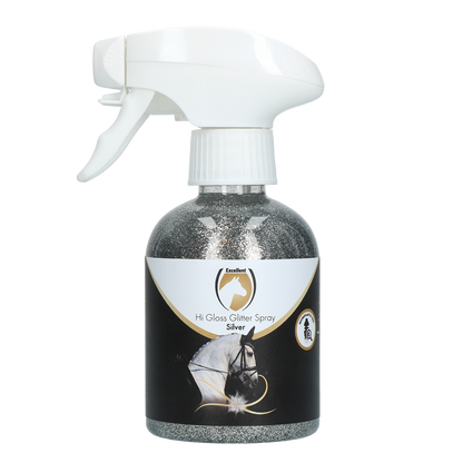 Spray pailleté Argent