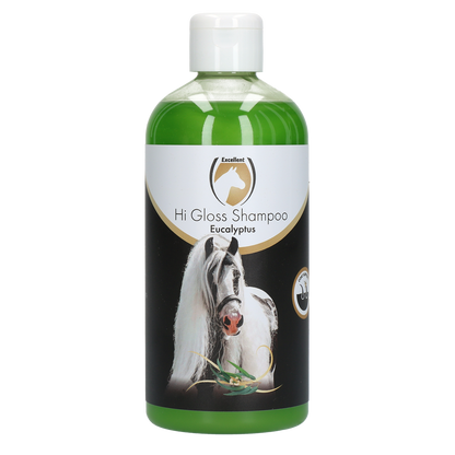 Shampoing Eucalyptus