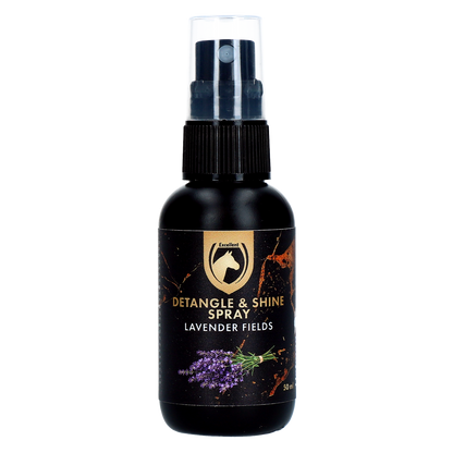 Detangle & Shine Spray Gift Set 5 x 50 ML