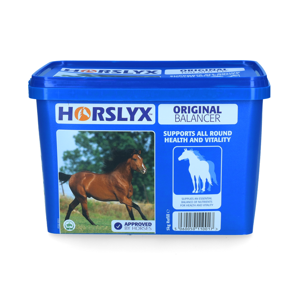 Horslyx Original 5 kg – pierre à lécher Horslyx