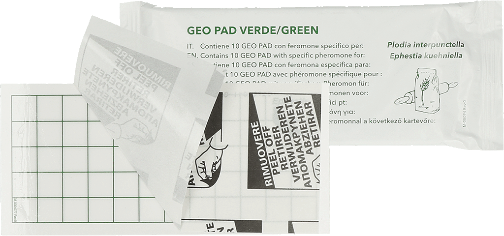Geo Glue Pad Pantry Moth