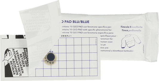 Geo Glue Pad Clothes Moth