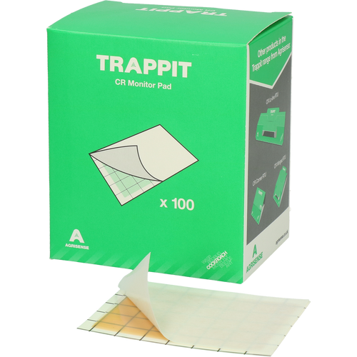 Plaques Adhésives Surveillance Insectes Rampants (lot de 100)