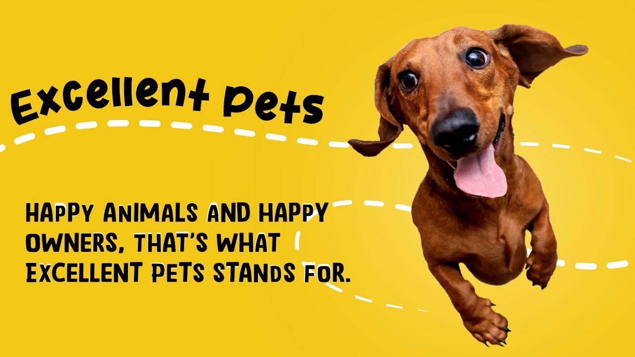 Excellent Pets Dog Mobility Soft Chews 60 Treats