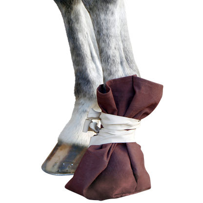 Claw/Hoof Treatment Shoe for cattle and horse