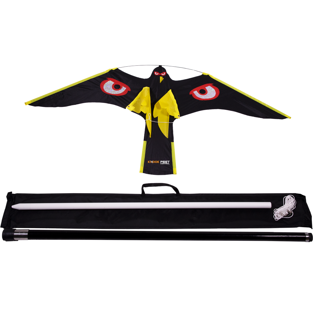 Bird Bouncer coffret complet