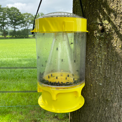 Knock Pest Fly Trap XL