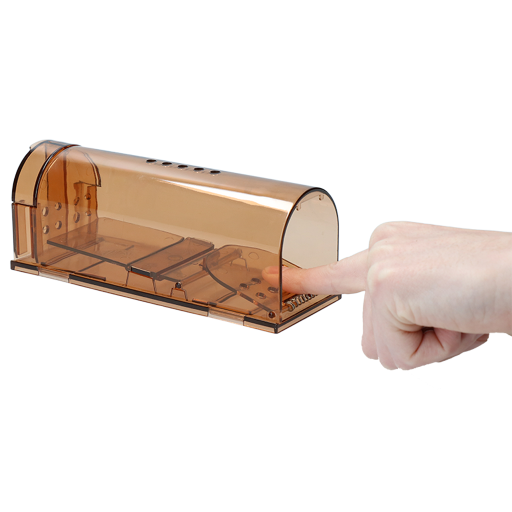 Knock Pest Mouse trap alive