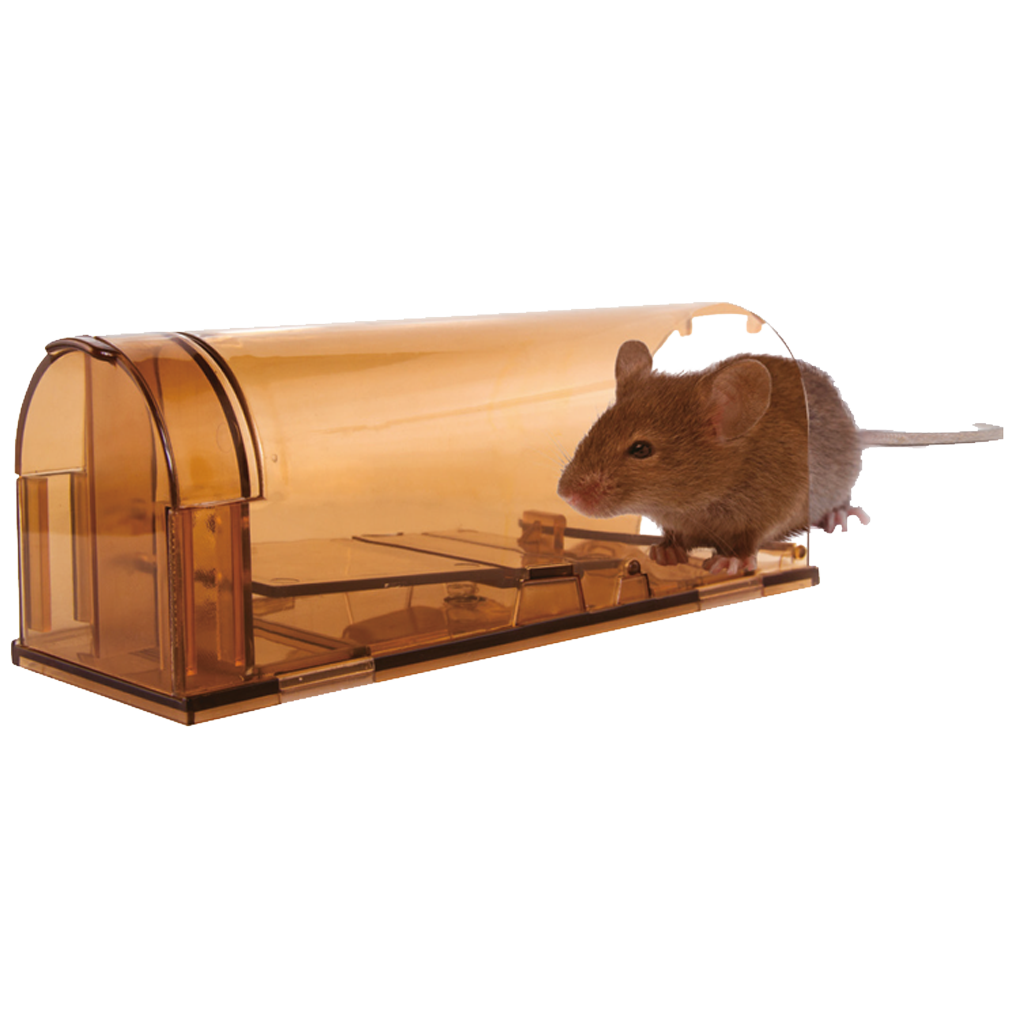 Knock Pest Mouse trap alive