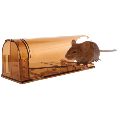 Knock Pest Mouse trap alive