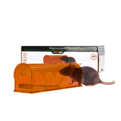 Knock Pest Rat trap Alive