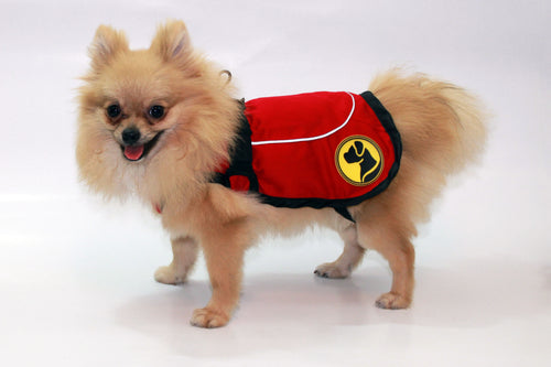 Manteau antiparasitaire chien à la perméthrine