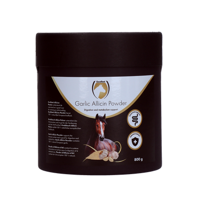 Ail Allicin Poudre 800 g