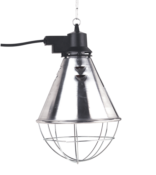 Lampe chauffante animaux sans ampoule IPX4 - 5 m de cable