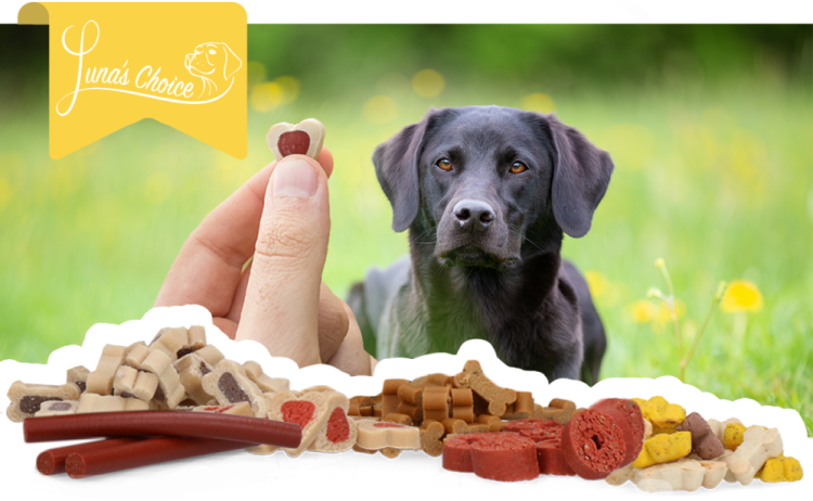 Luna's Choice Trainer Mix Lamb Strips