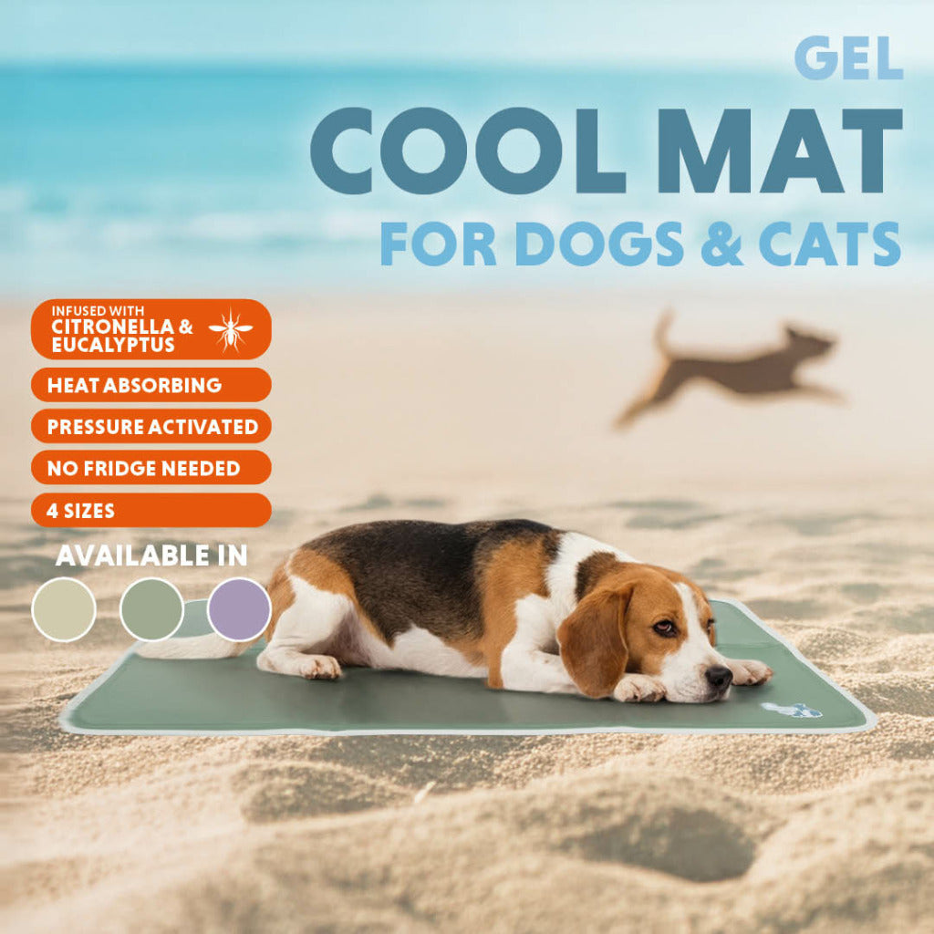Tapis rafraîchissant pour chien – CoolPets Gel Cooling Mat Coolpets
