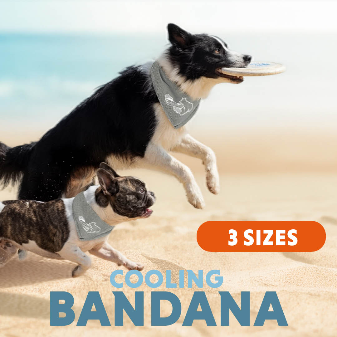 Coolpets Cooling Bandana Beige S