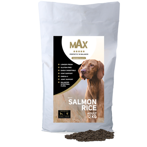 Croquettes chien pressées saumon & riz premium