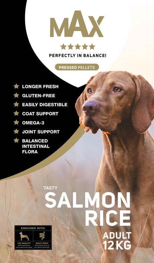 Croquettes chien pressées saumon & riz premium