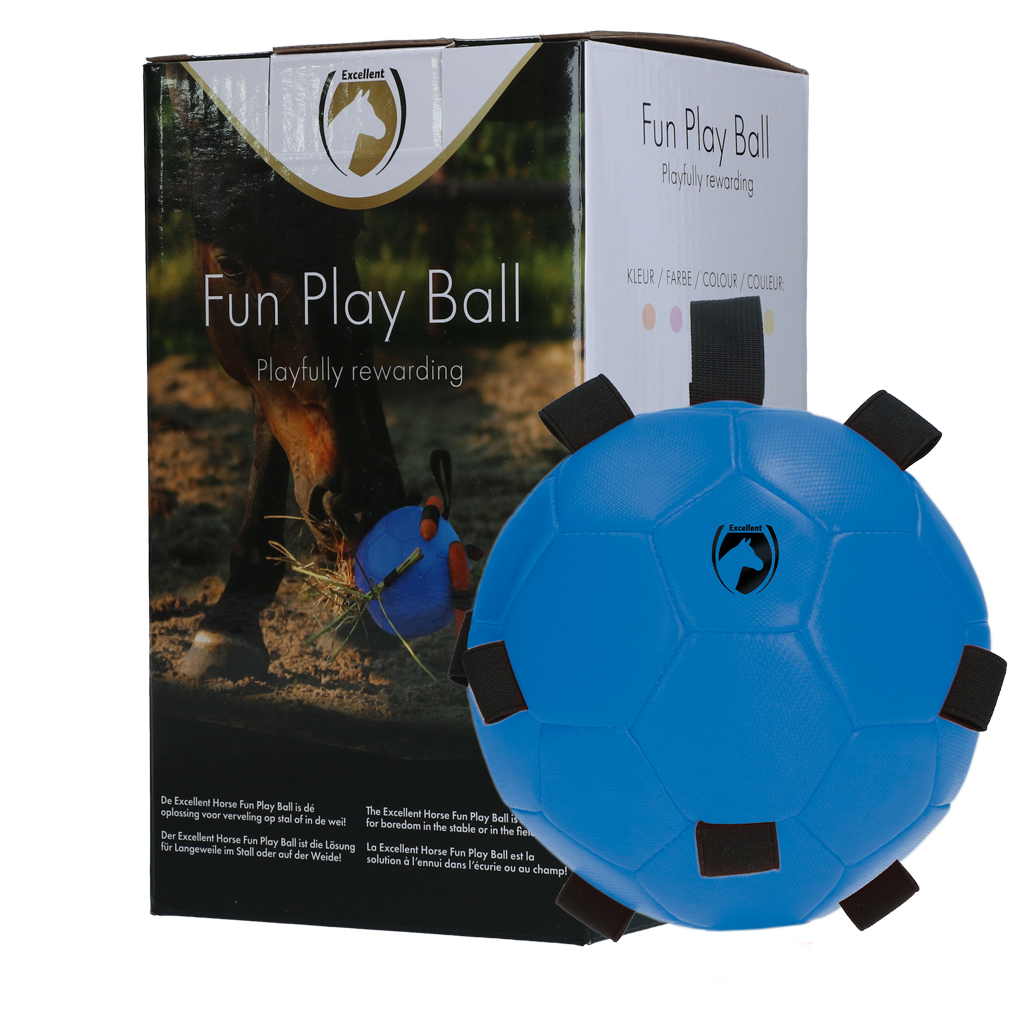 Fun Play Ball Bleu