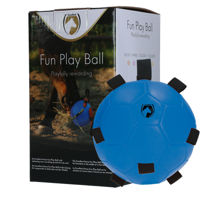 Fun Play Ball Bleu