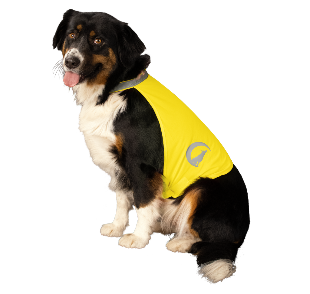 Nightwalk Safety Vest Yellow S