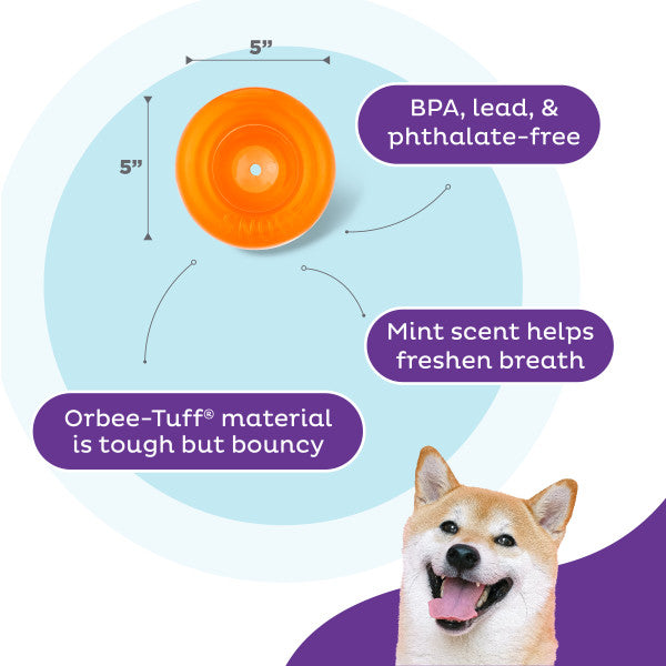 Outward Hound Orbee-Tuff Snoop L Orange