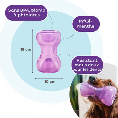Outward Hound Double Snoop Purple