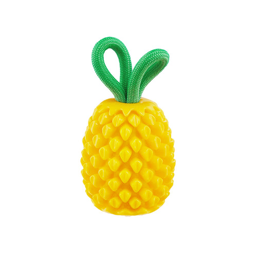 Outward Hound Dental Pineapple – Jouet à mâcher et à garnir