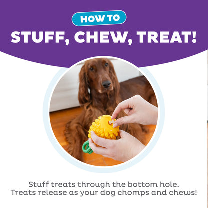 Outward Hound Dental Pineapple