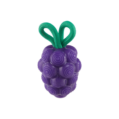 Outward Hound Dental Grapes – Jouet à mâcher et à garnir