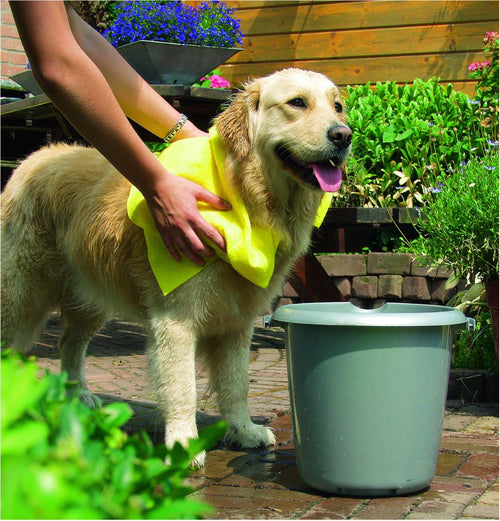 Serviette absorbante Pawise pour chien
