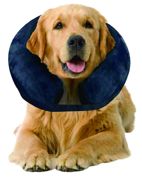 Collerette gonflable chien et chat – Protection post-opératoire