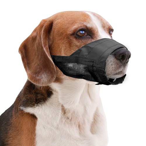 Muselière en nylon pour chien – Réglable et confortable