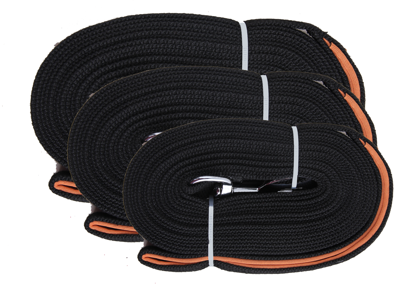 Pawise Long training leash 5 m